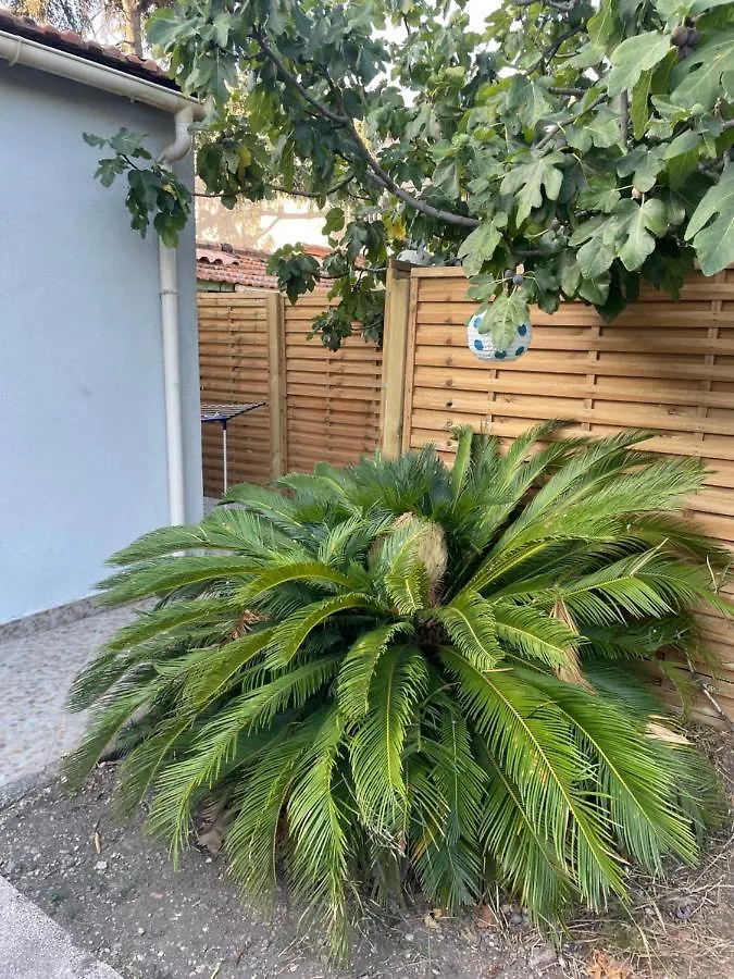 Apartment Studio Marseille France